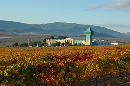 BODEGAS FRANCISCO GOMEZ