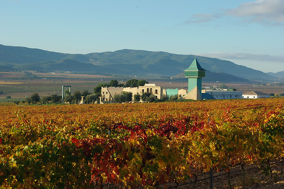 BODEGAS FRANCISCO GOMEZ - photo 0