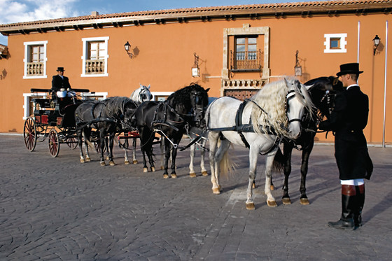 BODEGA LOS ALJIBES - photo 1