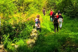 Montes de Laboreiro