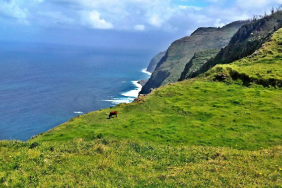 MADEIRA SUNSET COTTAGE - photo 2