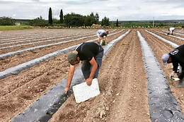 Azienda Agricola Colle di Seta