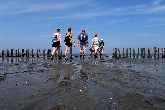 Hotel Waddengenot - photo 7