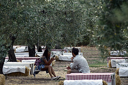 AZIENDA AGRICOLA LA VINARTE