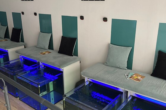 Eurasia Fish Spa - photo 2