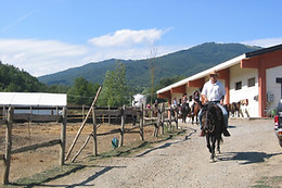 Agriturismo Salinola