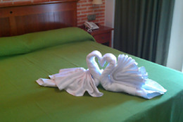 HOTEL ECOLOGICO TORAL